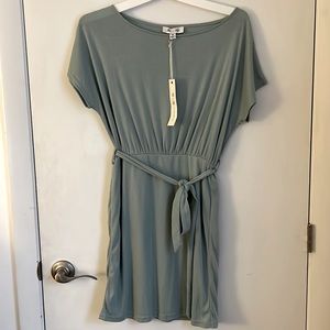 Pink Lily Mint Mini Dress